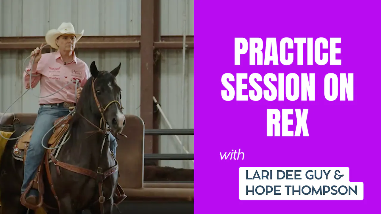 Practice Session on Rex - Roping․com