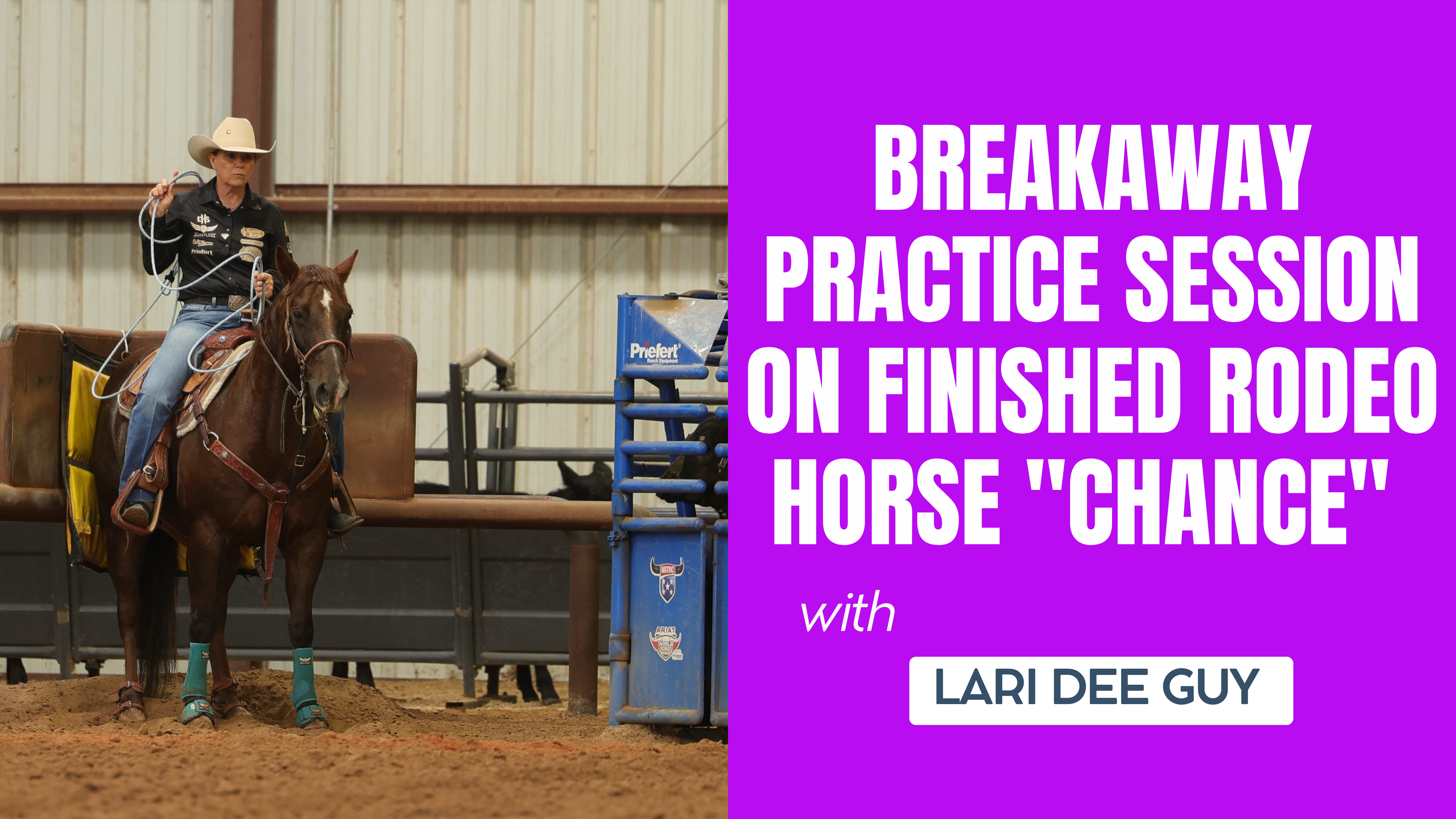 Breakaway Practice Session on Finished Rodeo Horse "Chance" with Lari Dee Guy