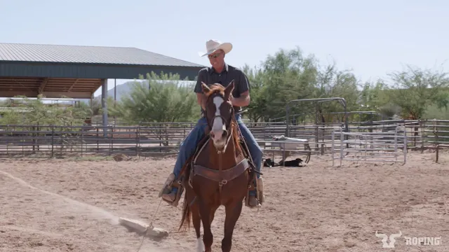 Roping 101: The Process of Learning t...