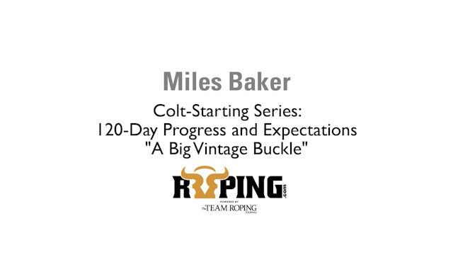 Colt-Starting Series: 120-Day Progress and Expectations "A Big Vintage Buckle"