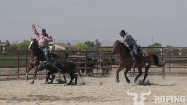 Breakdowns With Jake: Heeler's Reins