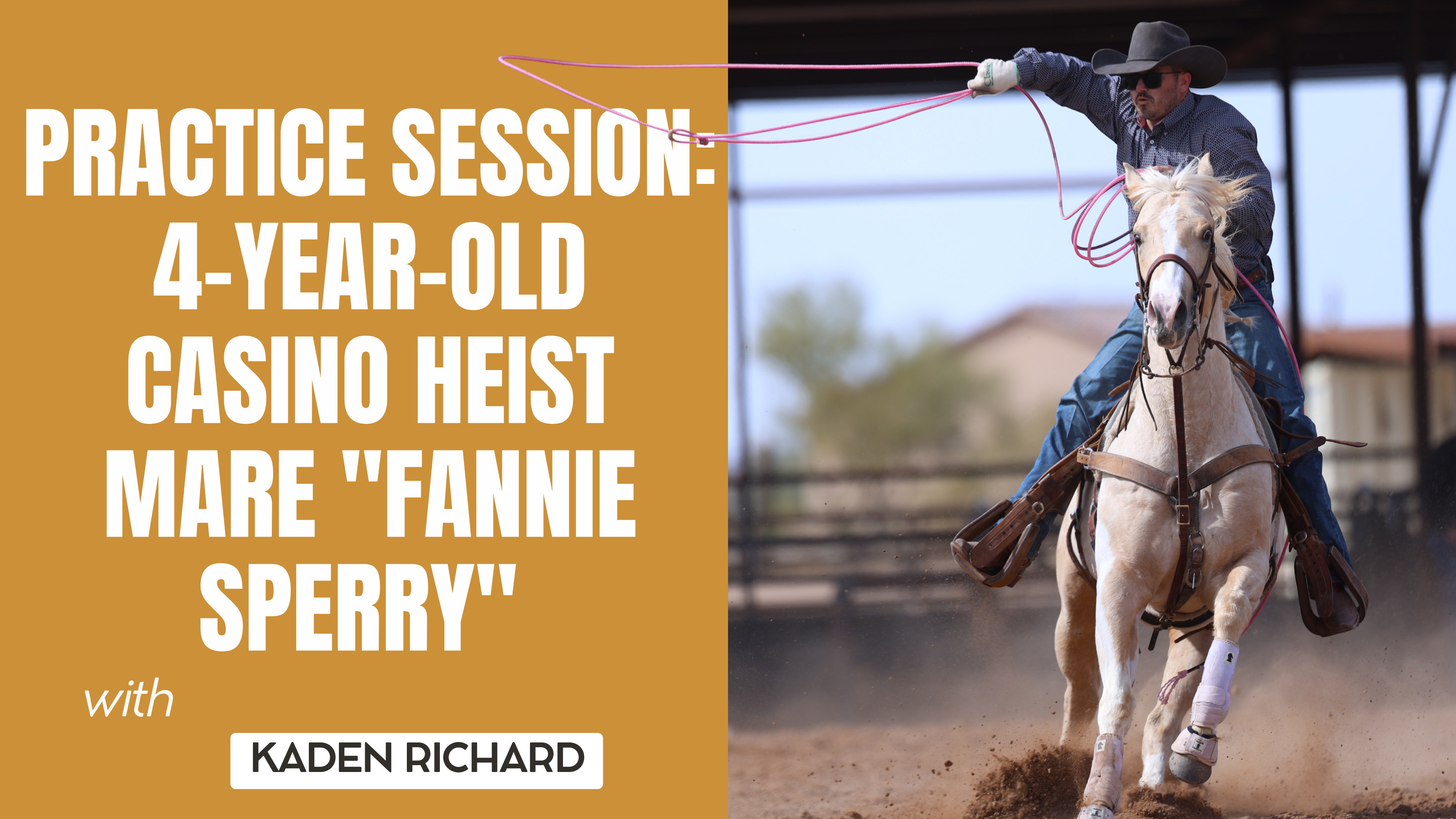 Practice Session: 4-Year-Old Casino Heist Mare "Fannie Sperry"