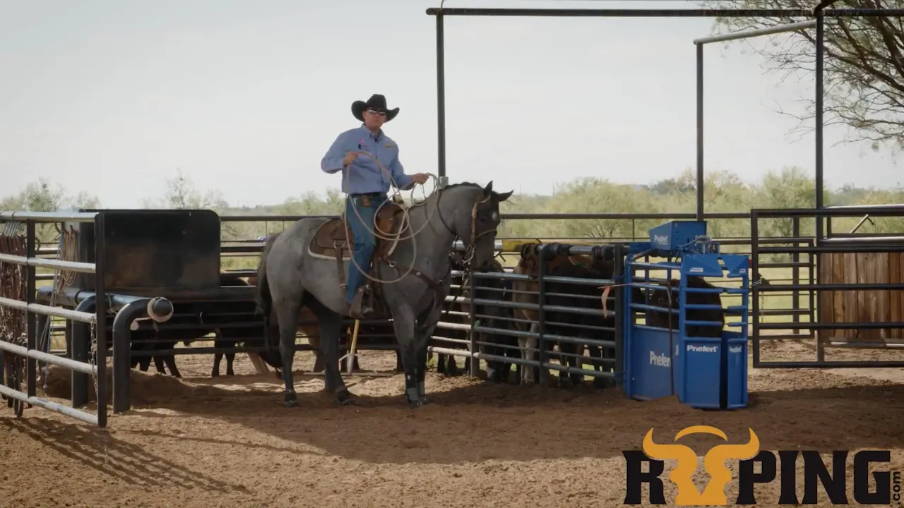 Keys to Starting Green Horses out of the Box - Roping․com