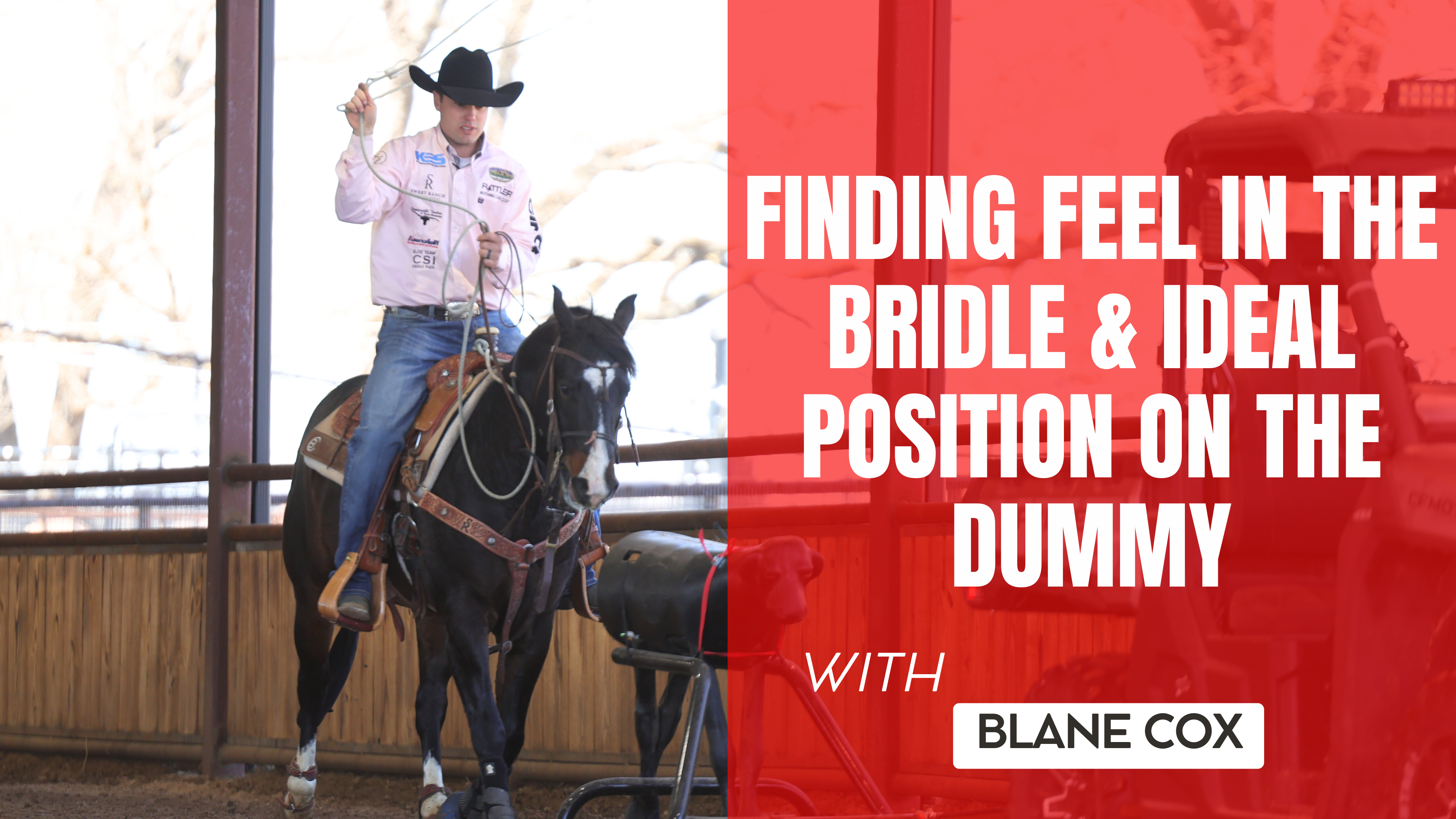 Finding Feel in the Bridle & Ideal Position on the Dummy