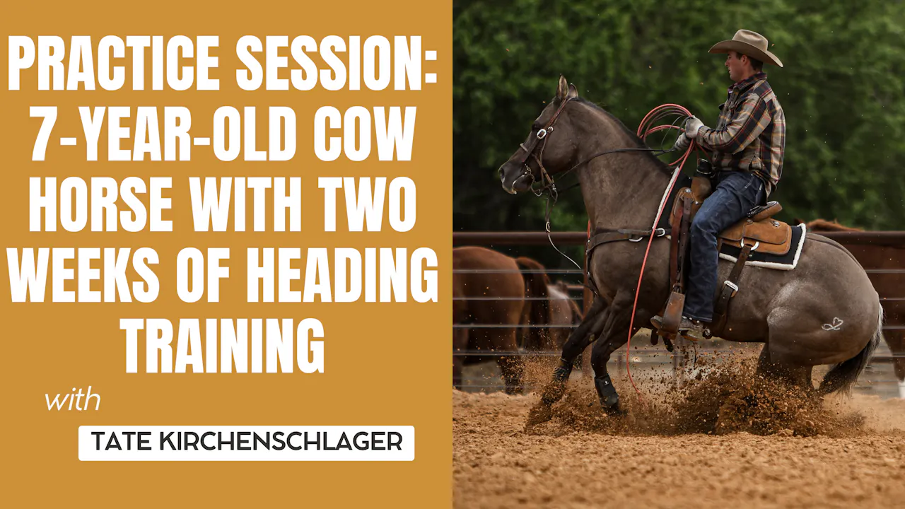 Practice Session: 7-Year-Old Cow Horse with Two Weeks of Heading ...