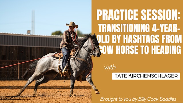 Practice Session: Transitioning 4-Year-Old by Hashtags from Cow Horse to Heading