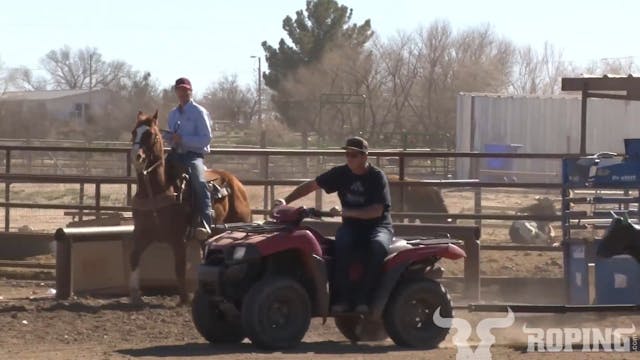 Slowing Down A Chargy Horse In The Co...