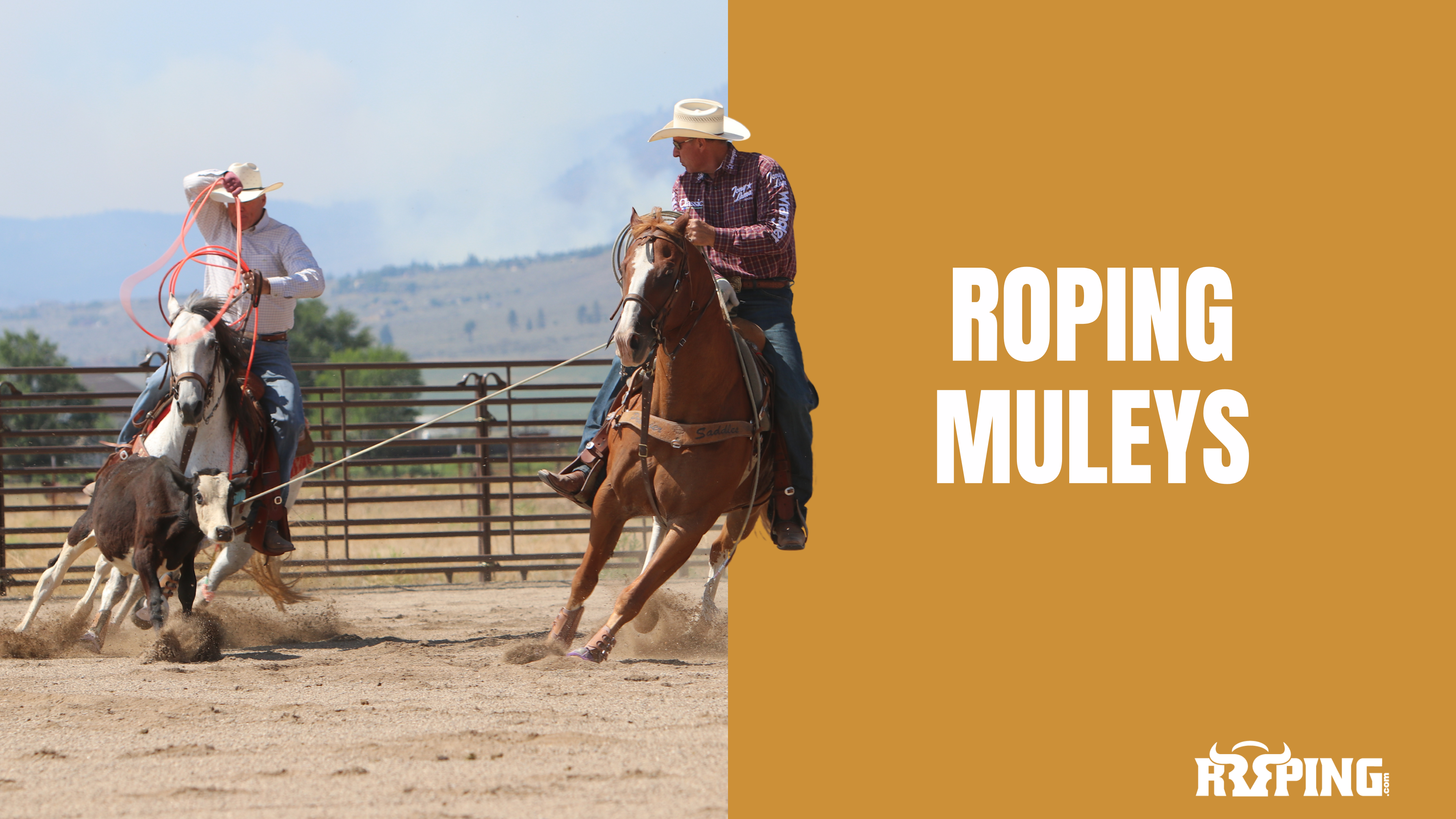 Roping Muleys