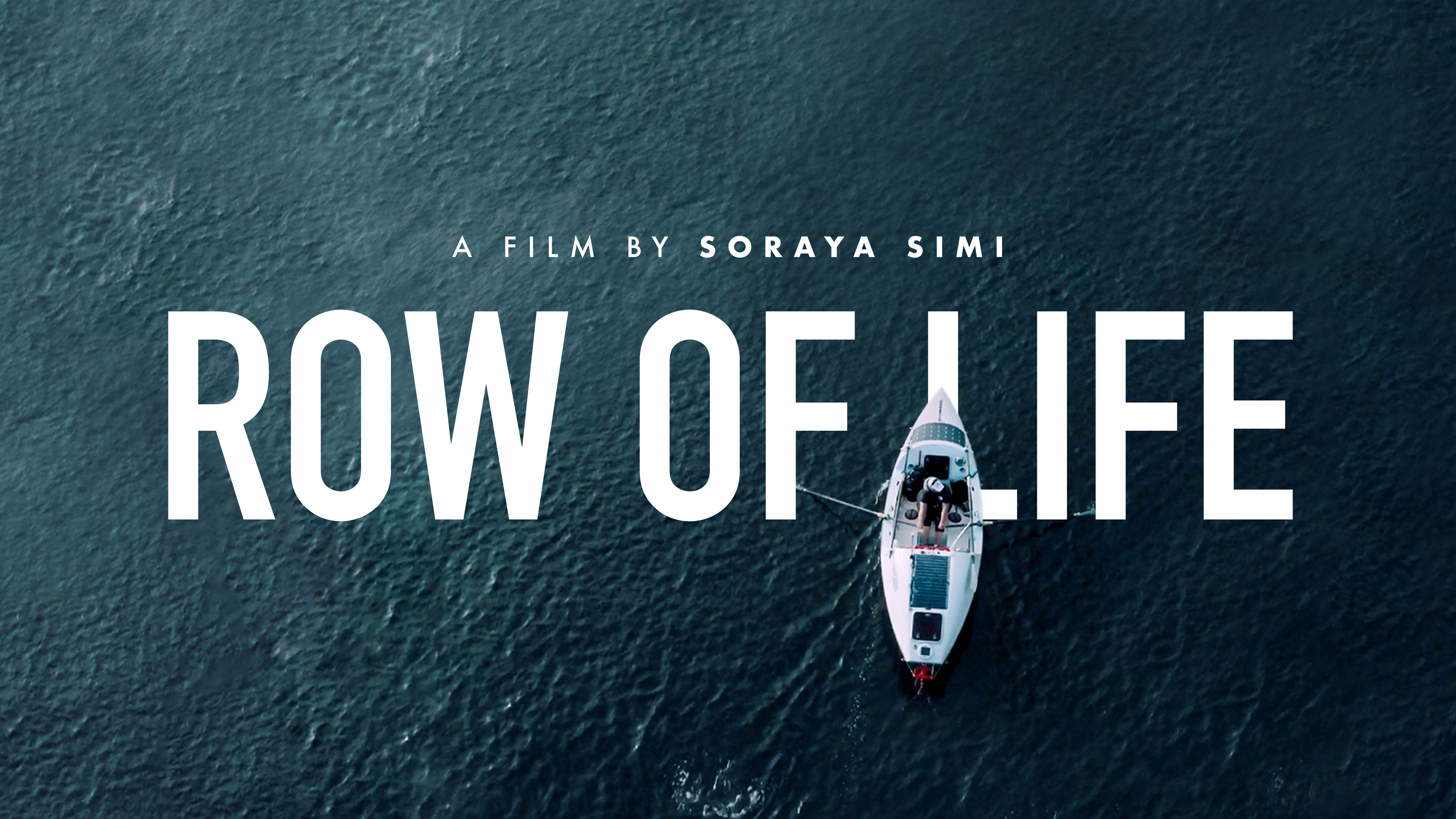 ROW OF LIFE (2026)