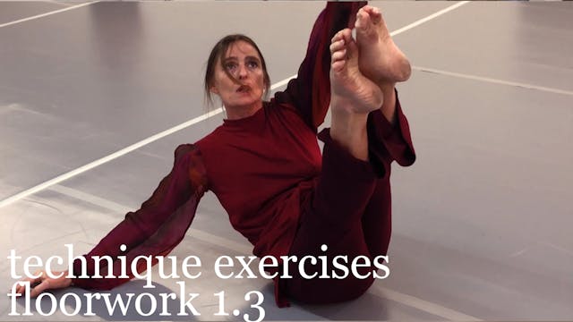 technique exercises: floorwork 1.3