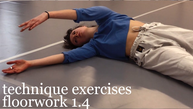 technique exercises: floorwork 1.4