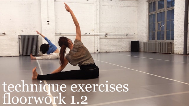 technique exercises: floorwork 1.2