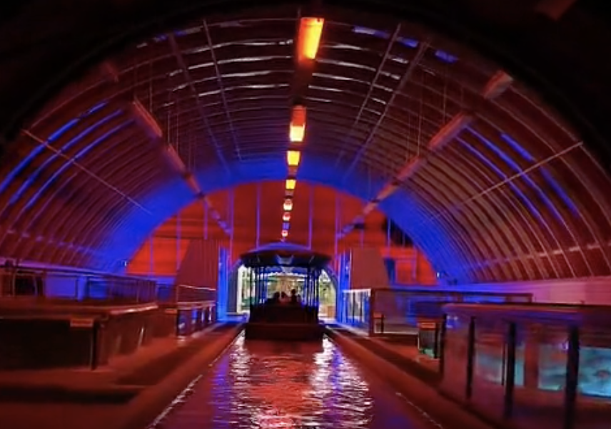 Sunday October 30th Epcot Stream