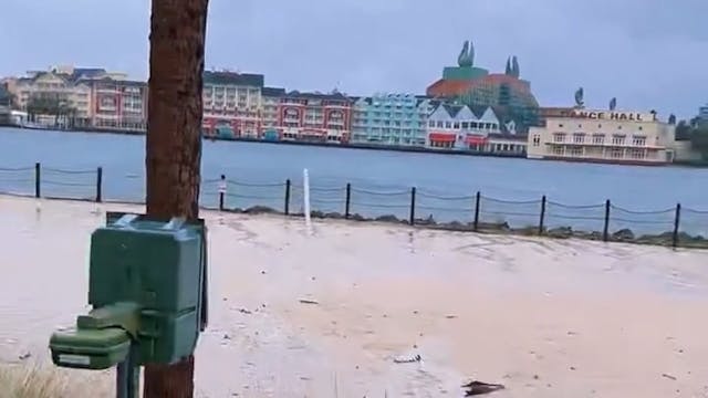 Disney Hurricane Aftermath