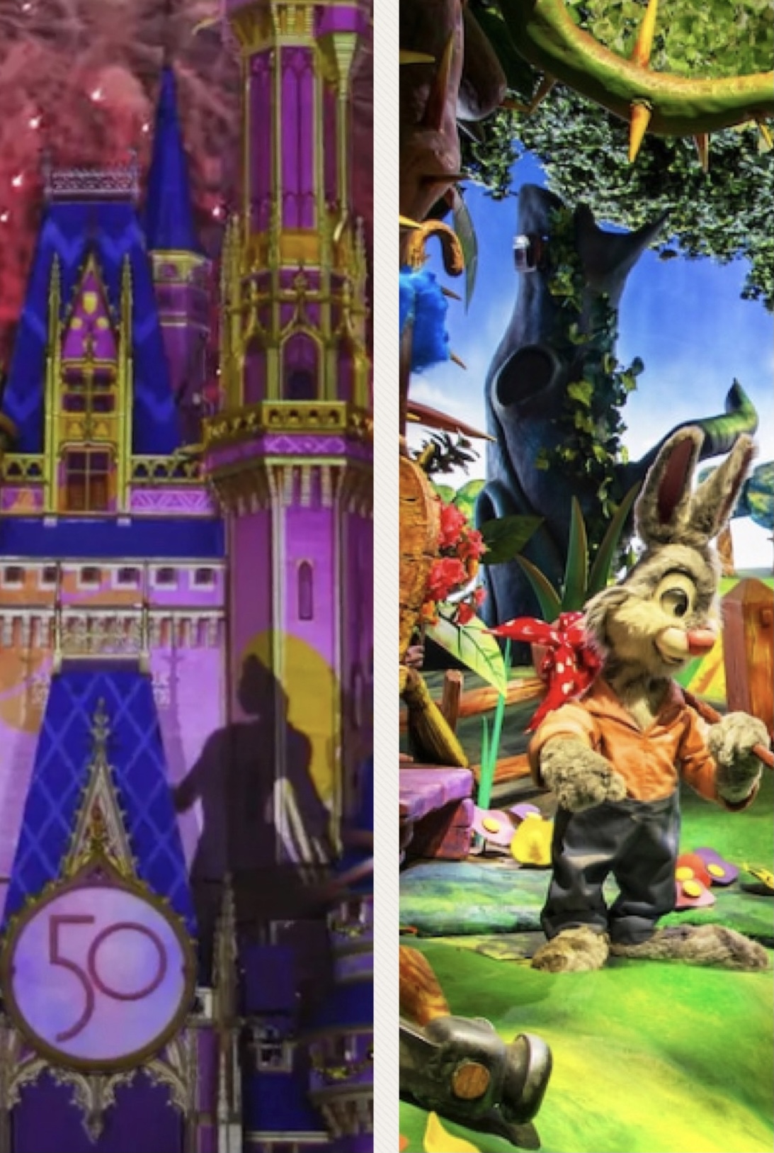 Enchantment and Splash Mountain 