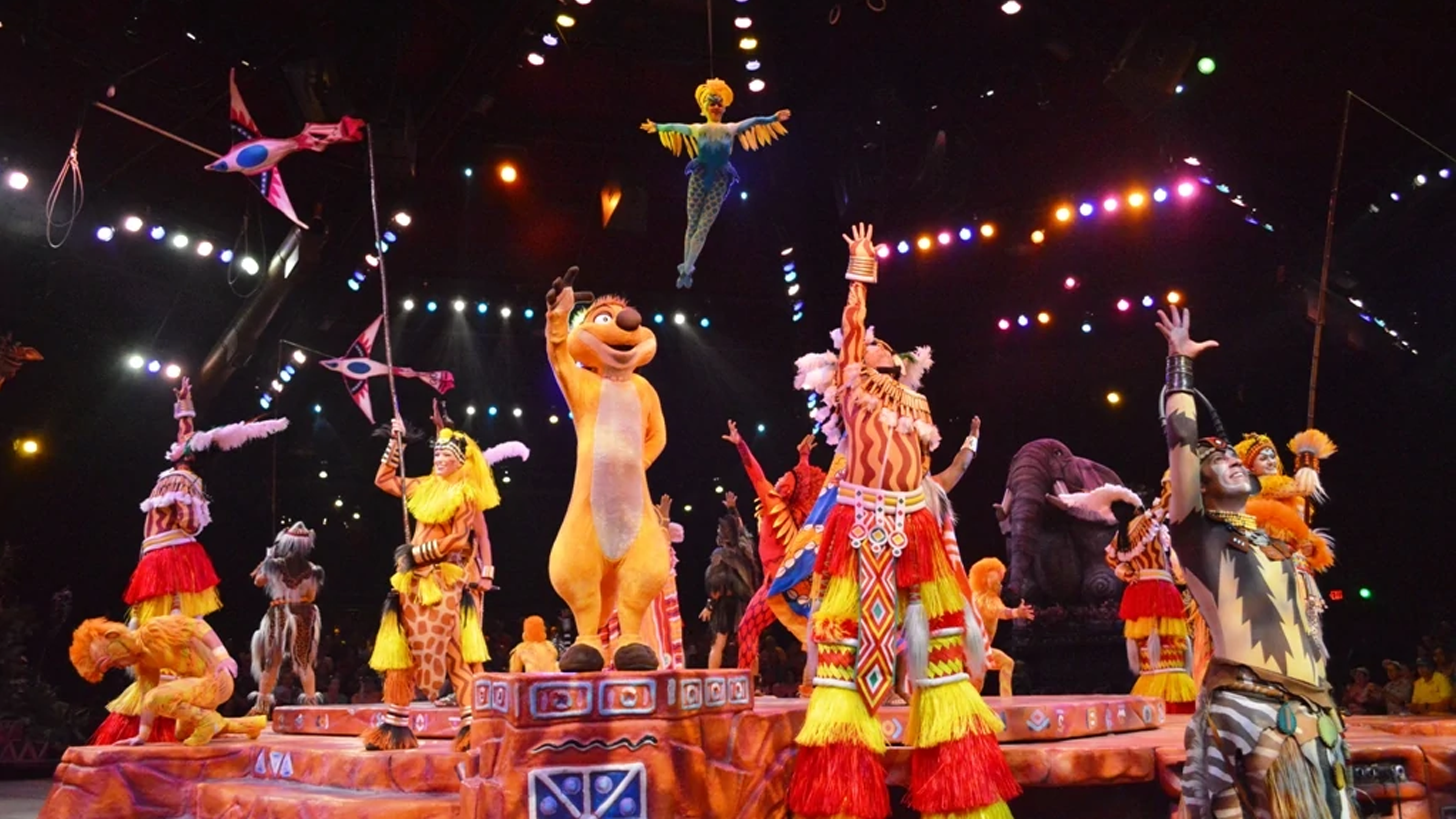 Festival of the Lion King - Front Row