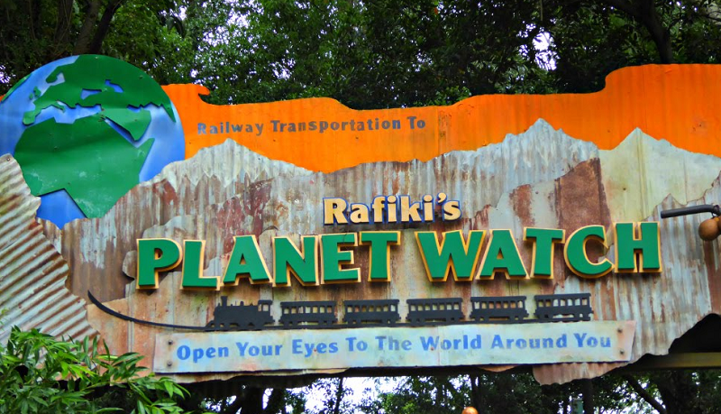 Rafiki's Planet Watch, Conservation Station and Wildlife Express Train