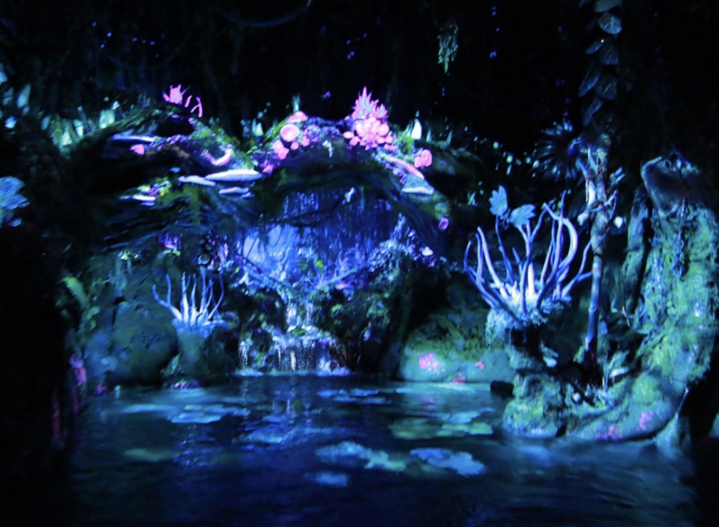 Na’vi River Journey, The Tree of Life and the Backside of Water