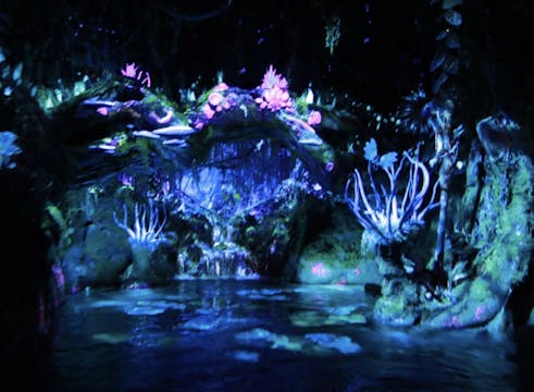 Na’vi River Journey, The Tree of Life...