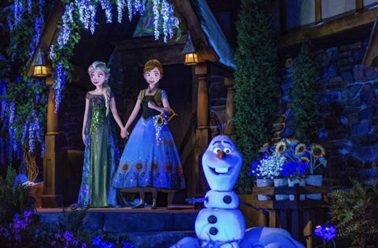Frozen ride where Elsa wouldn't let u...