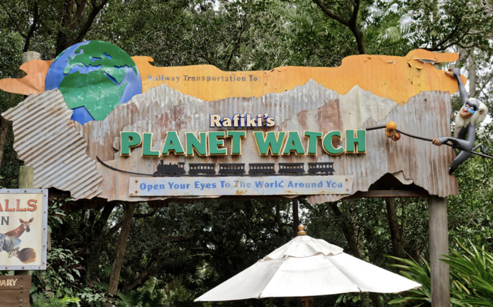 Rafiki's Planet Watch