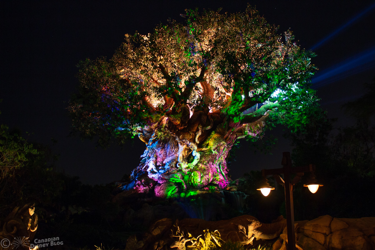 Week of December 18th 2022