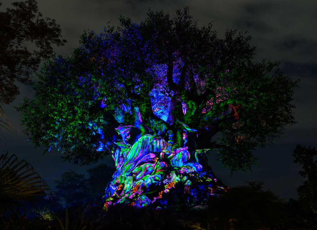 Beacons Tree of Life