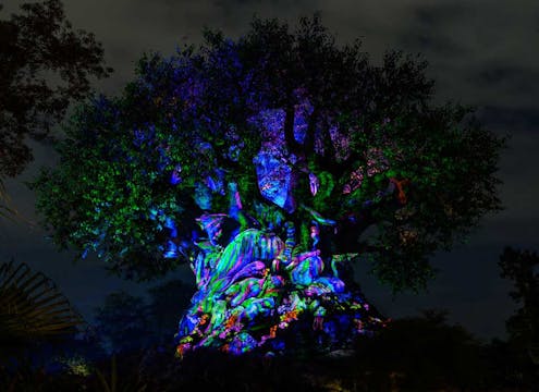 Beacons Tree of Life