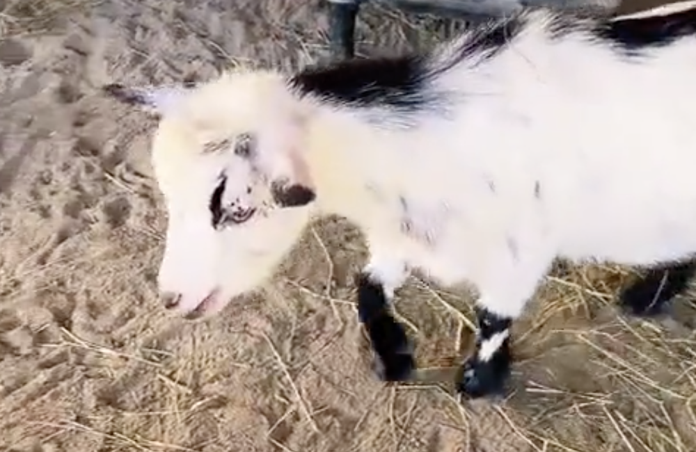 Week of July 10th 2022