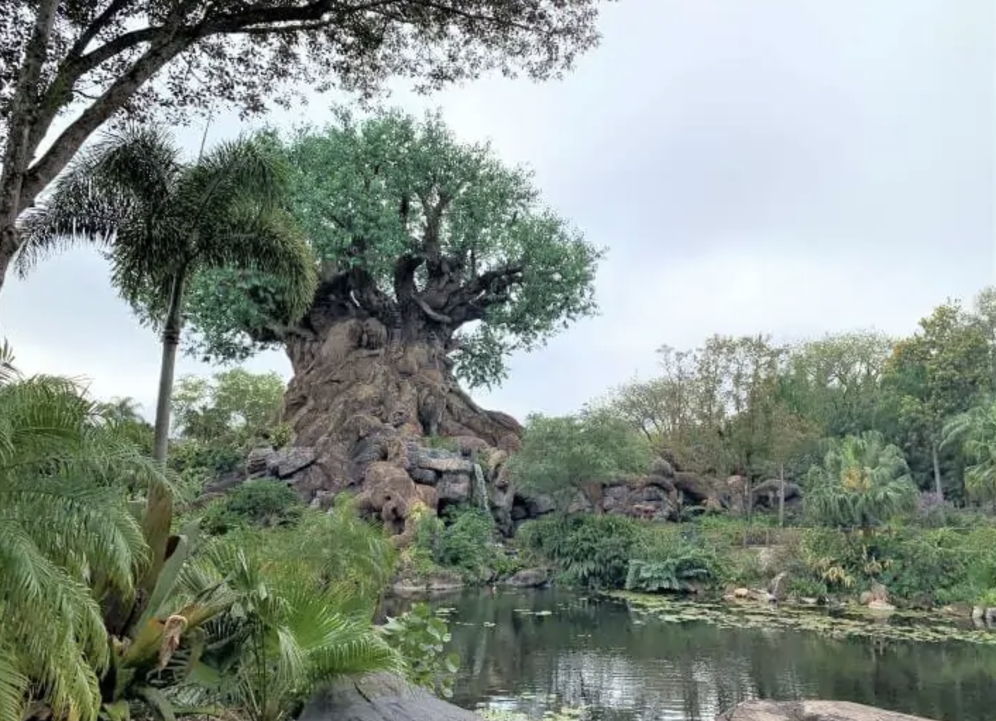 Animal Kingdom