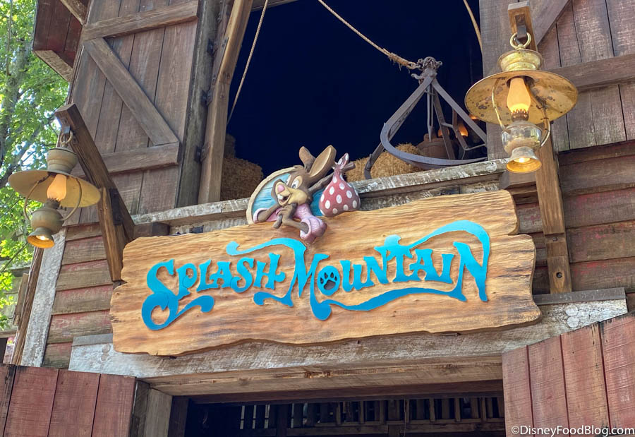 Splash Mountain and Pirates of the Caribbean 