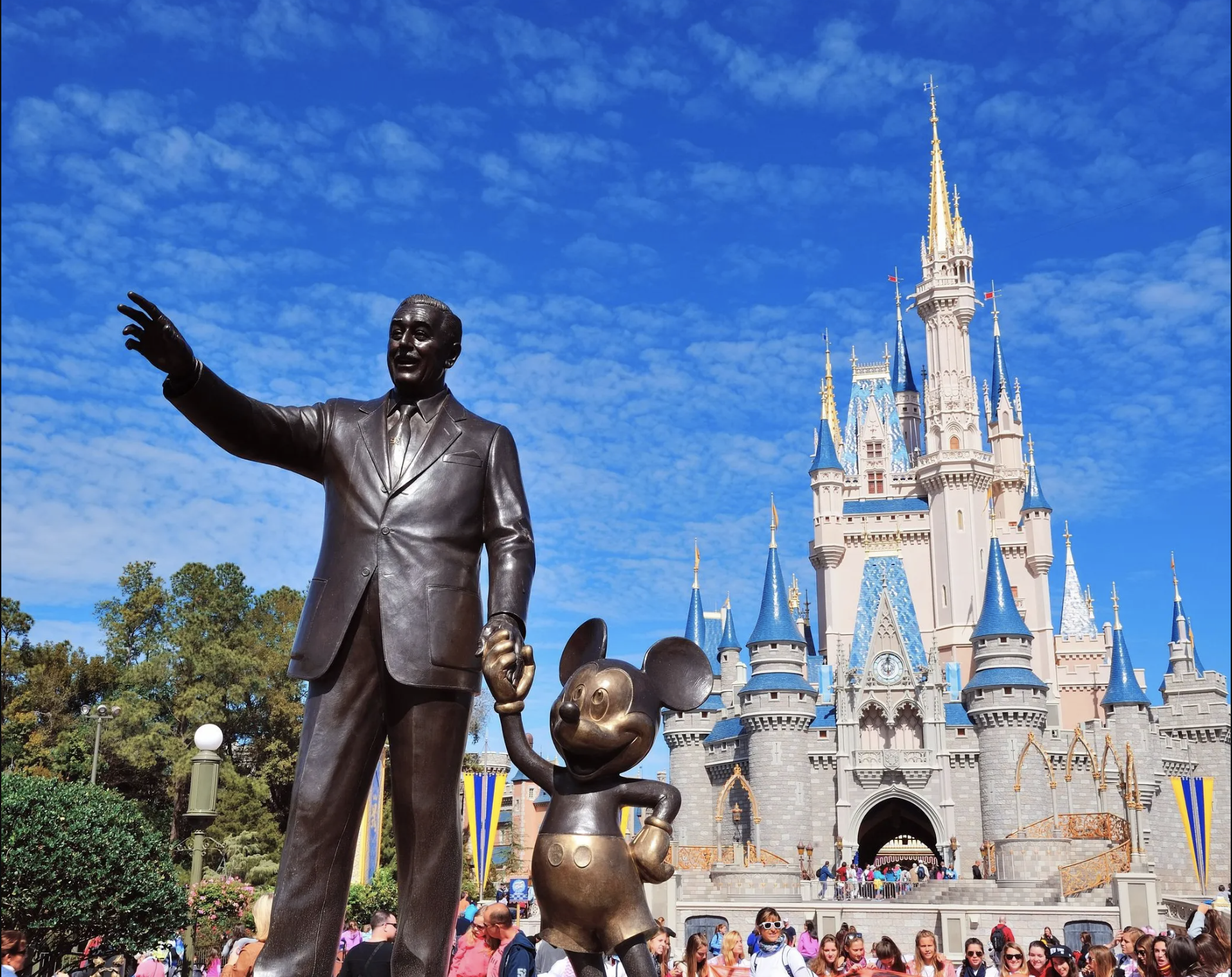 Disney World: New Views