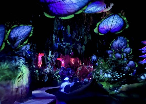 Na'vi River Journey 