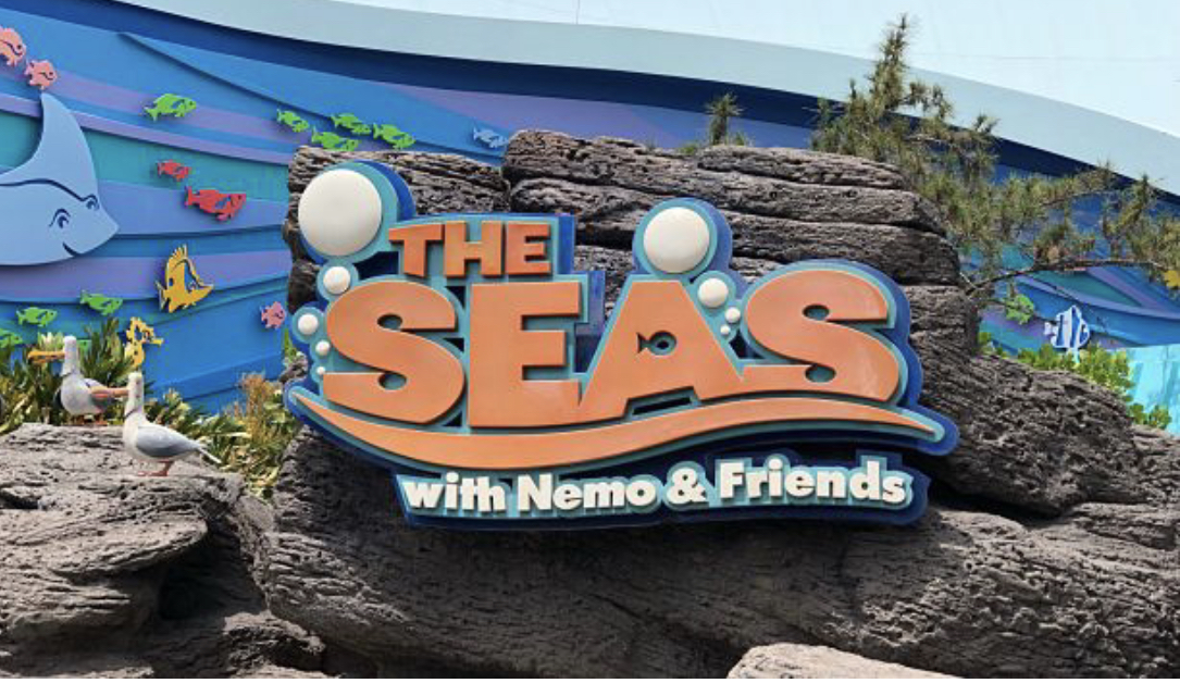 Just another day on The Seas with Nemo & Friends