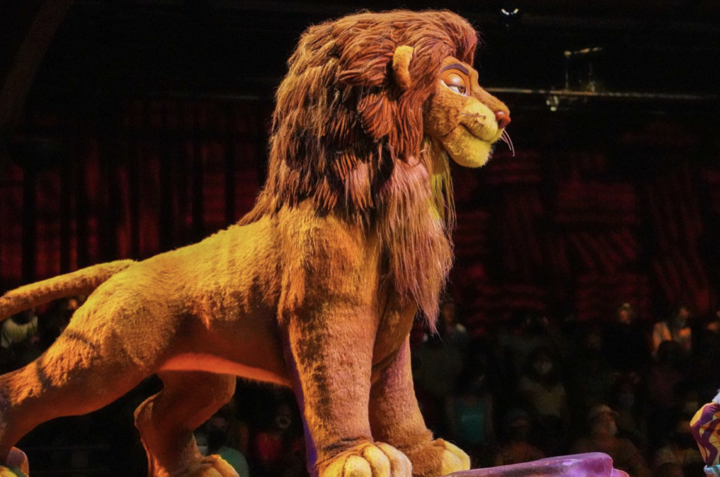 Just another day at the Festival of the Lion King 