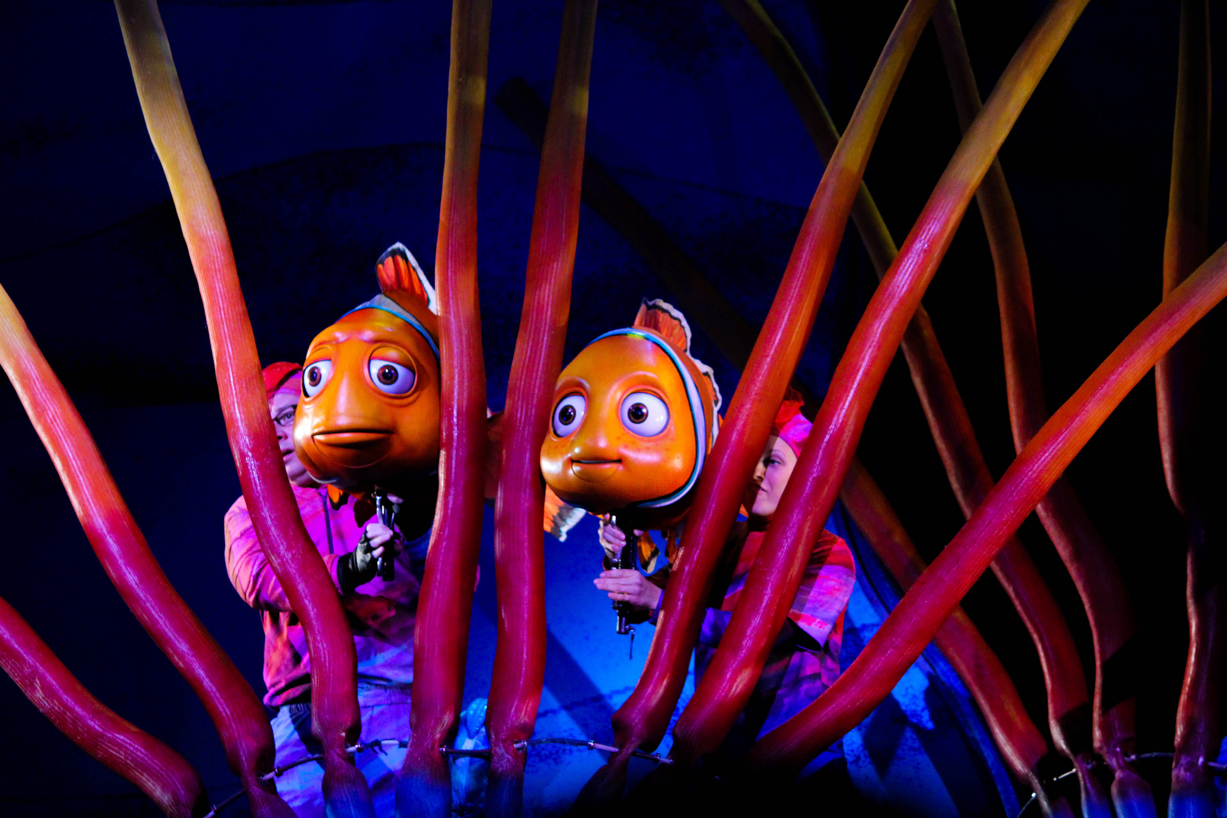 Nemo Musical