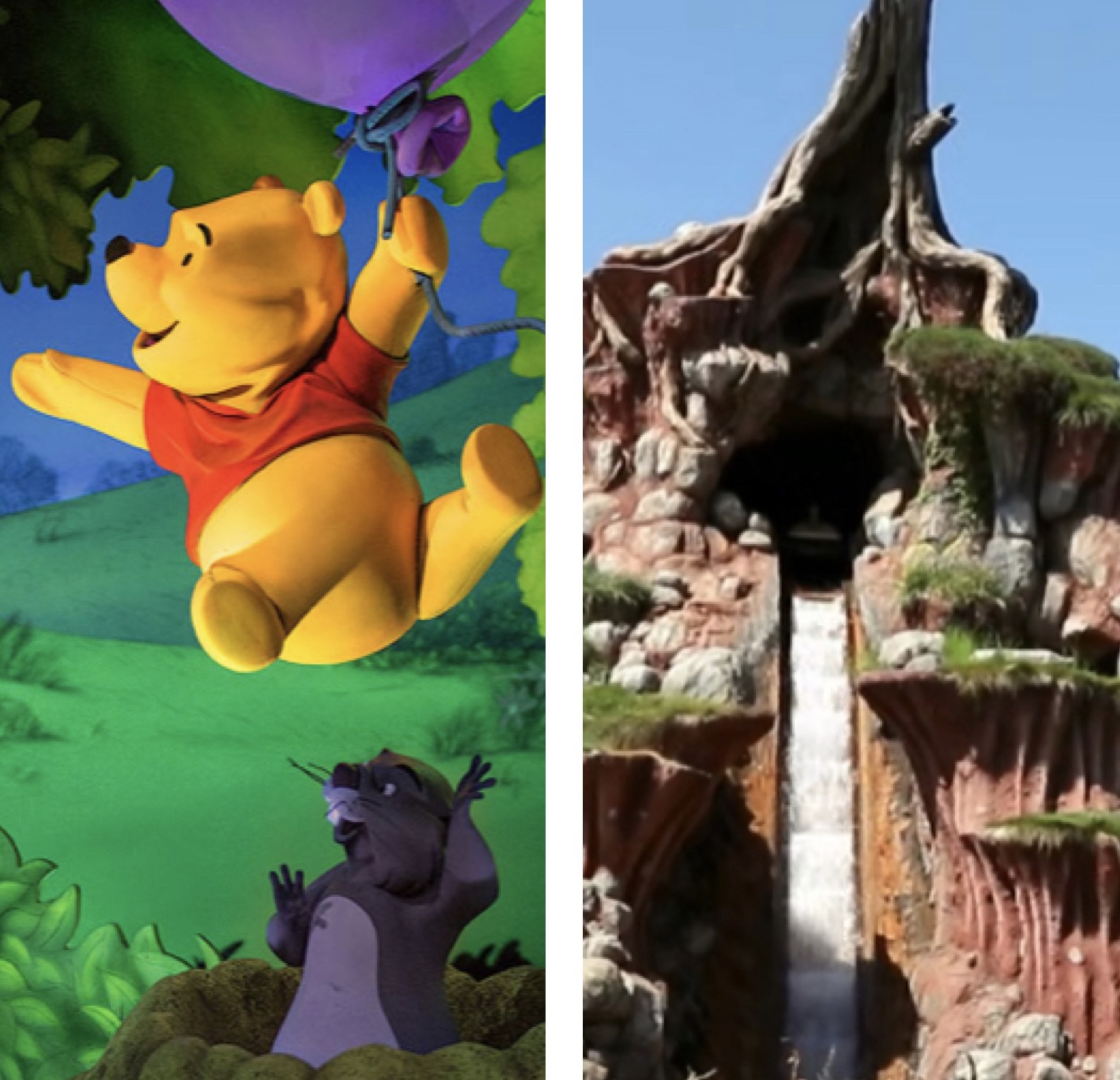 The Many Adventures of Winnie the Pooh and Splash Mountain