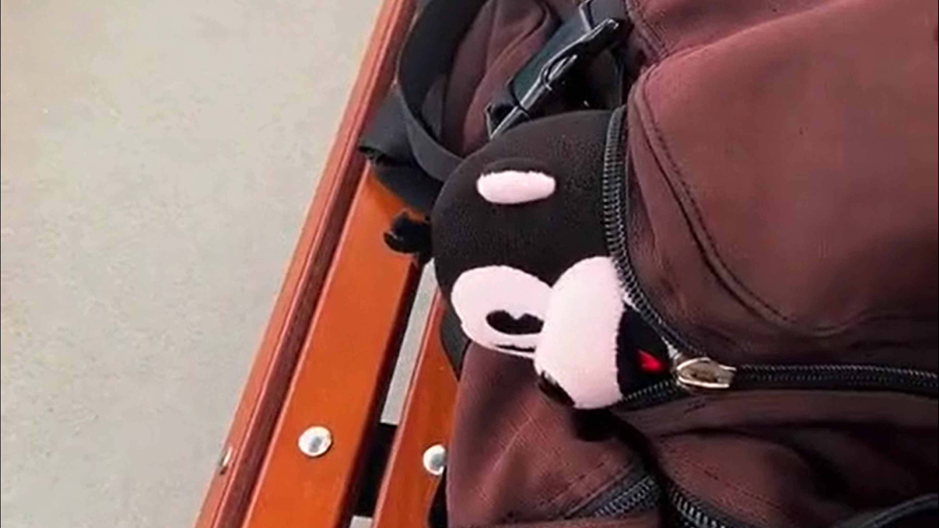 Tower of Terror & Joe tries to escape on Skyliner