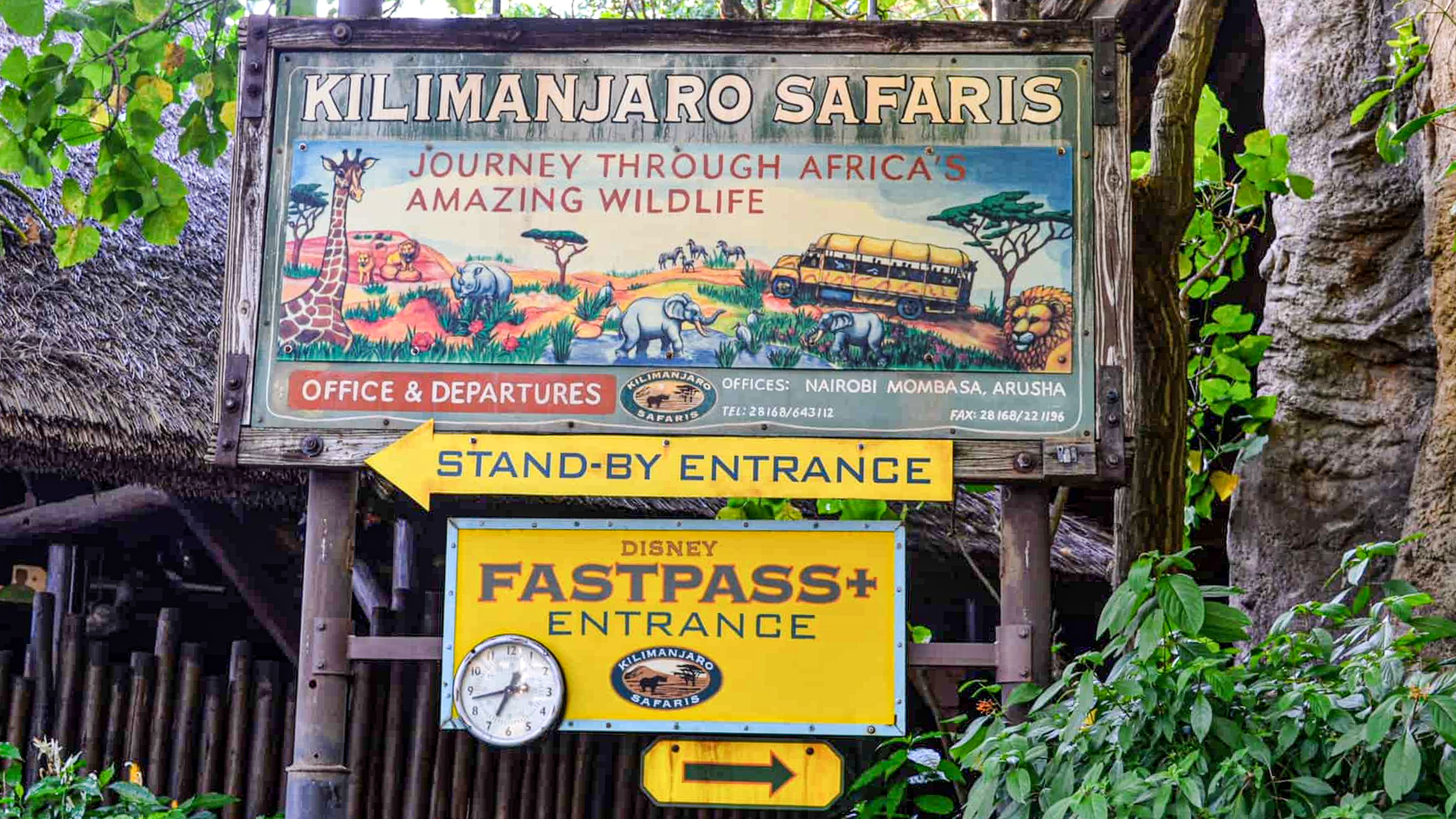 Safari after the Rain