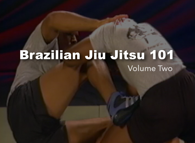 BJJ 101 Vol 2