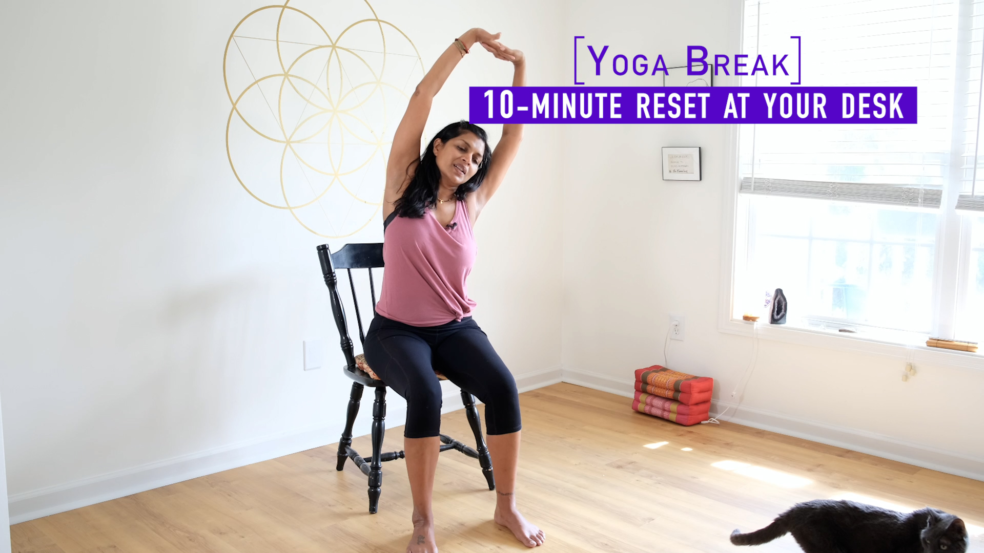 Yoga Breaks