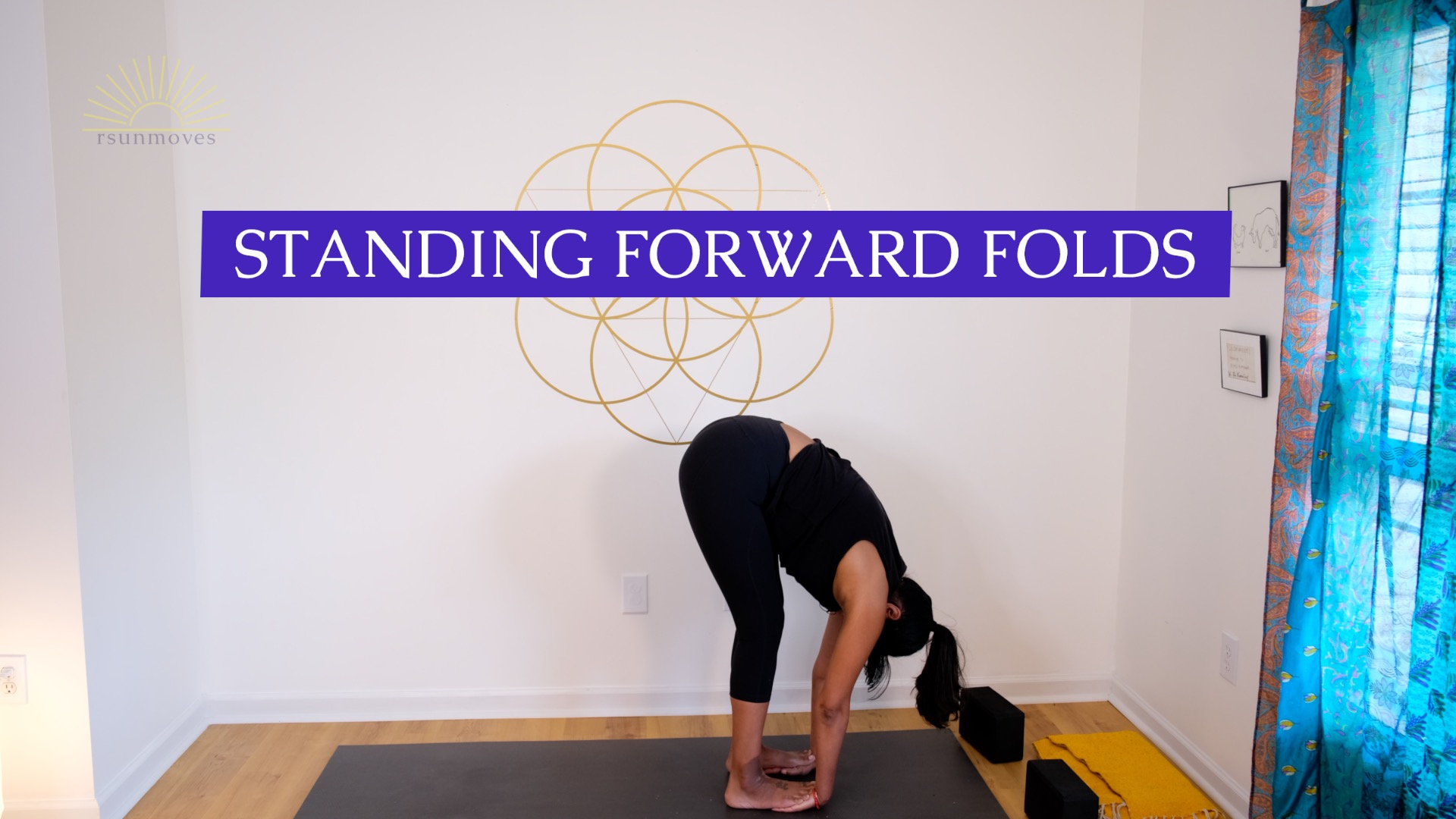 Standing Forward Folds