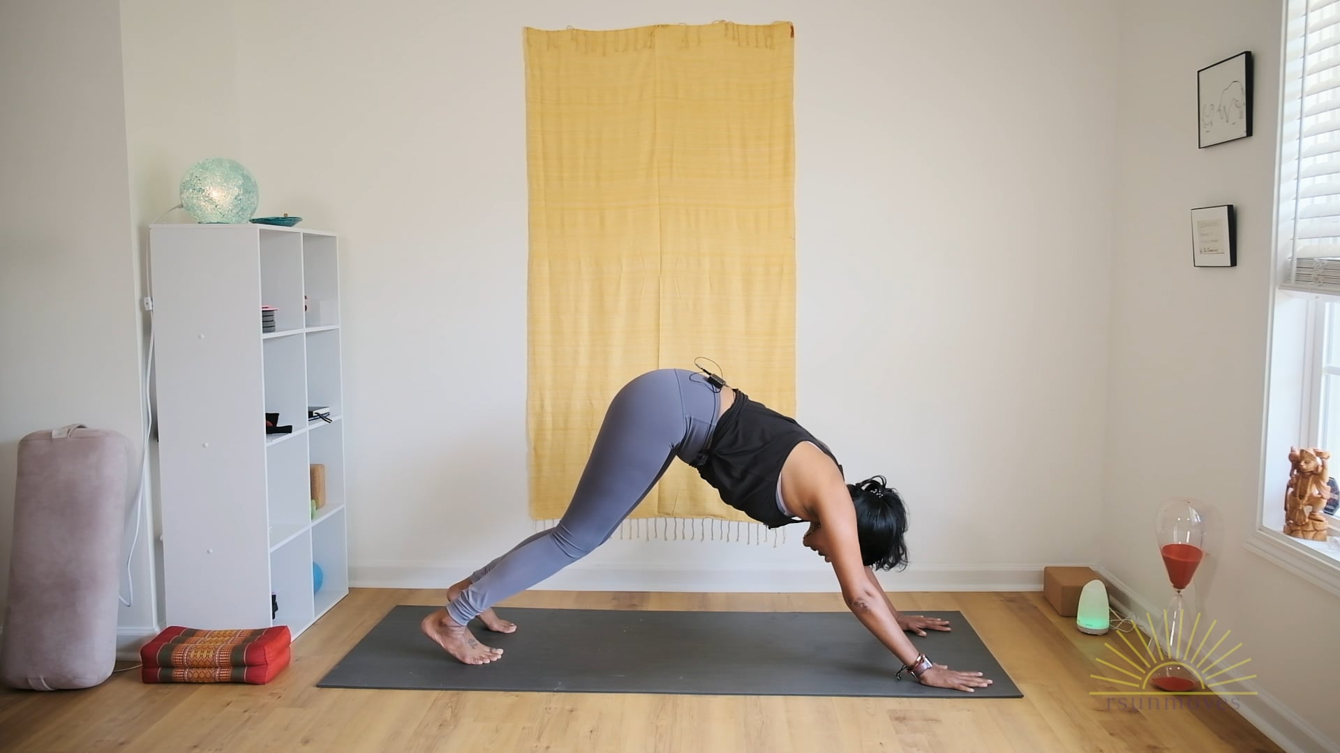 yoga101 Downward Dog