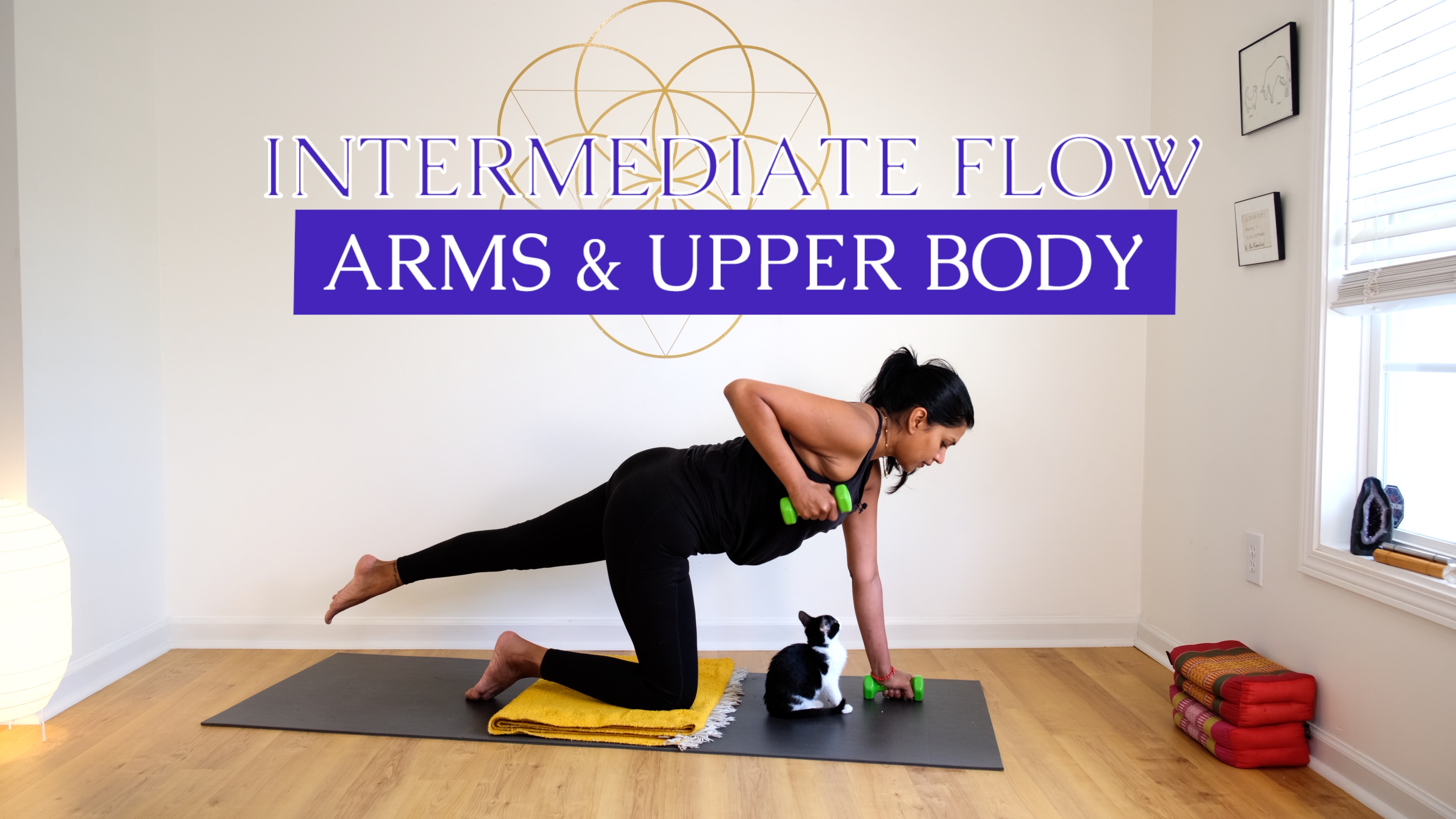 Intermediate Flow: Arms & Upper Body