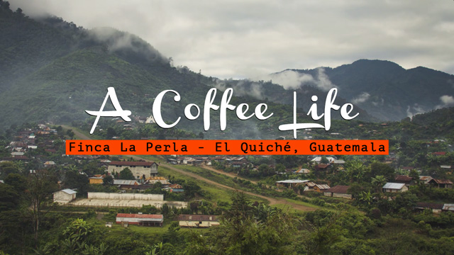 CANETTV Documental / A Coffee Life