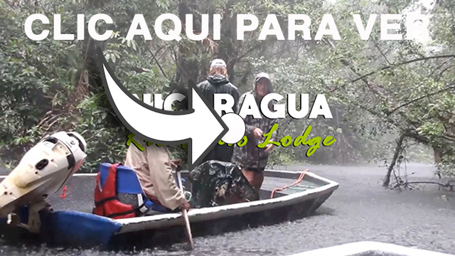 Nicaragua Río Indio Lodge