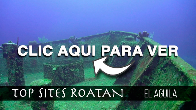 El Aguila Roatan Top Sites