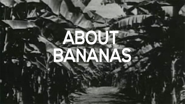 CANETTV Historias / About Bananas