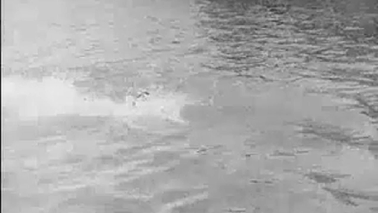 New Adventures of Tarzan