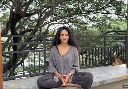 Episode 12 : Awakening Within a Habit